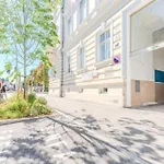Stadtwohnung Im Zentrum * Grossing (Liezen)